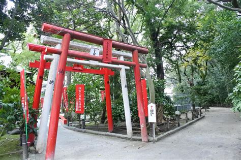 THE 15 BEST Things to Do in Fukuoka - UPDATED 2022 - Must See ...