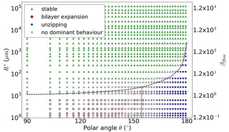 Stability Diagram Of Dibs In Terms Of The Droplet Radius R