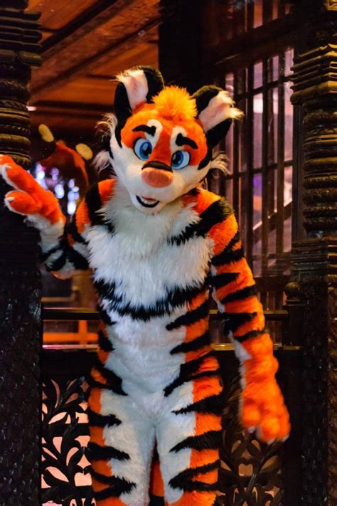 Tiger Fursuit By Tmc Rfurry