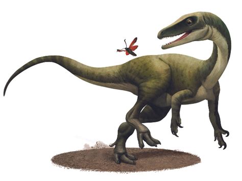 Novo guia completo dos dinossauros do Brasil Editora Peirópolis