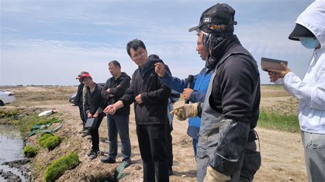 “黑土粮仓”大安红岗子盐碱地水田高效利用示范区召开盐碱地水稻种植机械化技术现场观摩会