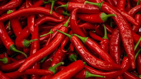 Chiles Todo lo que debes saber Tipos origen y más