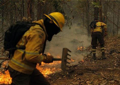 Honduras Sobrepasa Las Mil Las Hect Reas De Bosque Afectadas Por