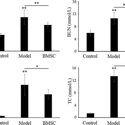 Evaluation Of Serum Creatinine And Urea Nitrogen Concentration Serum