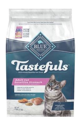 The Best Cat Food for Sensitive Stomachs‌