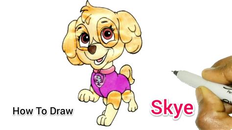 How To Draw A Skye From Paw Patrol Easy Cartooning Cute Drawings