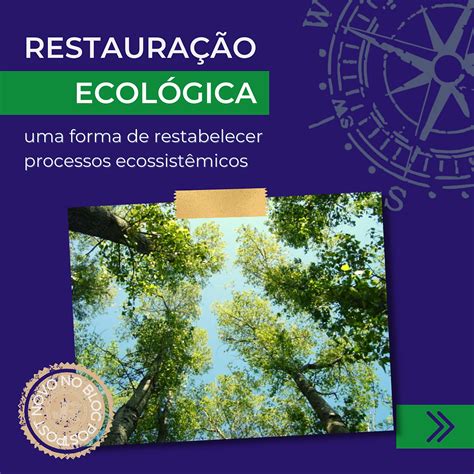 A restauração ecológica como forma de restabelecer processos ecossistêmicos