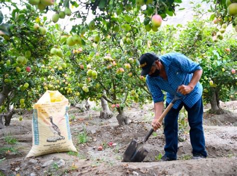 Plan De Emergencia Agrario Contempla 39 Medidas Para Apoyar A