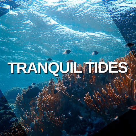 Tranquil Tides Album By Oceanic Sounds Spotify