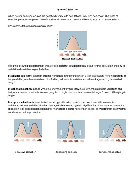 Types of Selection - Types of Selection When natural selection acts on ...