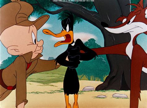 Daily Daffy Duck READ PINNED On Twitter RT Tooninwithmetv