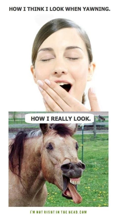 How I Really Yawn - Funny Memes