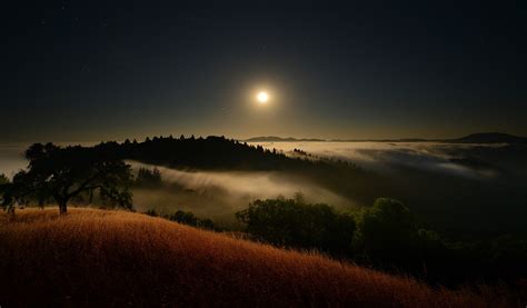 Nature Hills Landscape Trees Mist Grass Valley Moonlight Starry