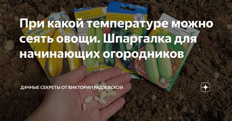 При какой температуре можно сеять овощи. Шпаргалка для начинающих ...