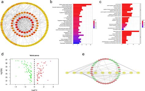 A Proteinprotein Interaction Network Of Immune Related Genes Which