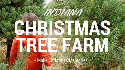 Christmas Tree Farms In Indiana Little Indiana