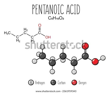 50 Pentanoate Images, Stock Photos, 3D objects, & Vectors | Shutterstock