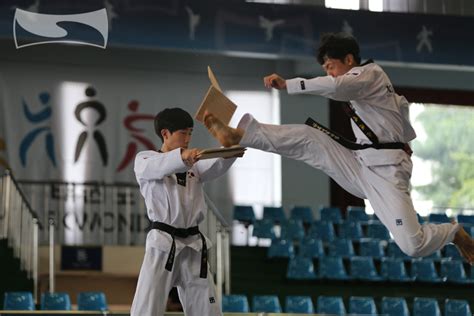 Jump Front Kick | Taekwondo Wiki | FANDOM powered by Wikia