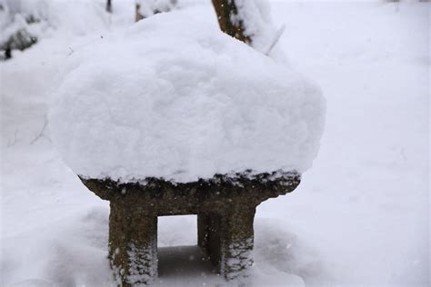 祇王寺 雪 冬の奥嵯峨の白い空間 京都もよう KYOTO MOYOU