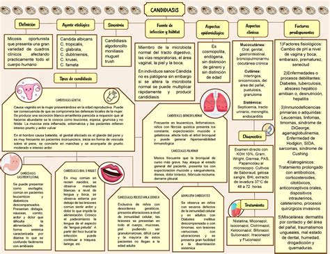 Mapa Conceptual De Candida Candidiasis Definici N Agente Etiol Gico