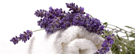 Lavender Detox Essential Oils For Baths Now Foods