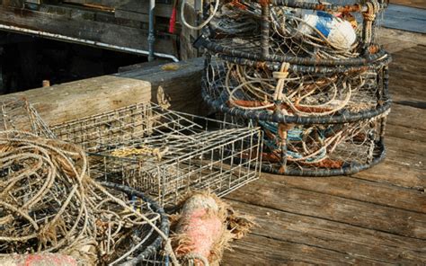 Essential Crabbing Equipment Checklist (Resource) | Fisherman First