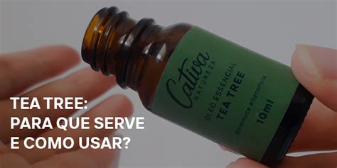 Óleo Essencial Tea Tree para que serve e como usar