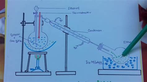 Diethyl Ether How Diethyl Ether Is Prepared By Chemistry