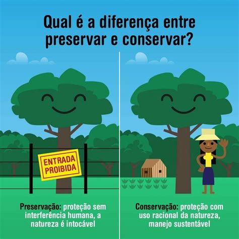 Pin de Indianara Tercioti em studies Educação ambiental e