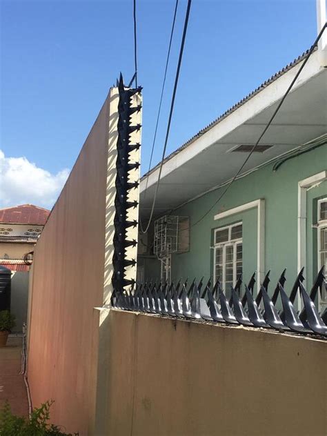 Anti Climb Wall Spikes Razor Wire Provar Distributors Ltd