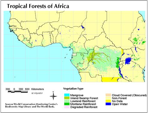 Marina Cords' Research - Kakamega Forest