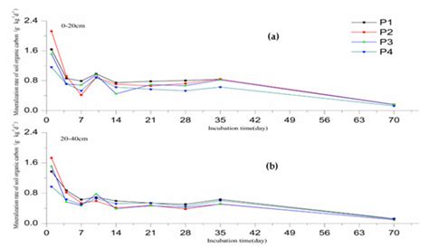 Sustainability Free Full Text Carbon Mineralization Under Different