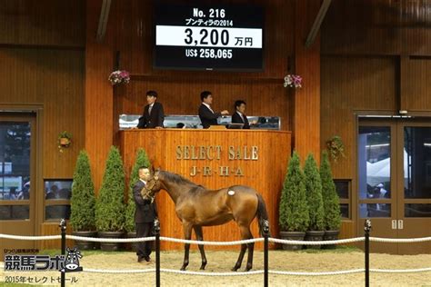 ホウオウプライド Ho O Pride 競走馬データベース 競馬ラボ