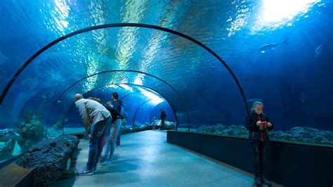 Visit Rotterdam Zoo and Oceanium in Rotterdam | Live the World