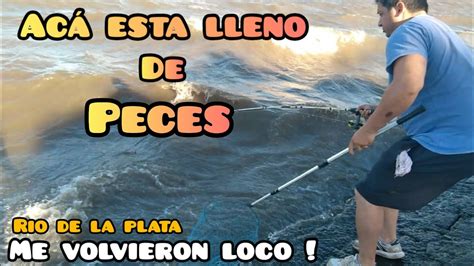 Mucha Pesca En Este Lugar Pesca De Sabalos Con Ca A Parana Y El