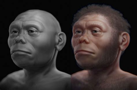 Homo Erectus Facial Reconstruction