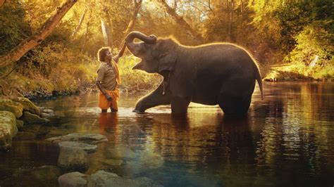 theppakadu elephant camp