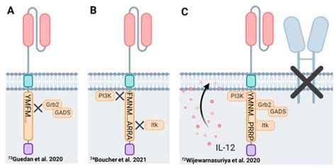 Biomolecules Free Full Text Co Stimulatory Receptor Signaling In