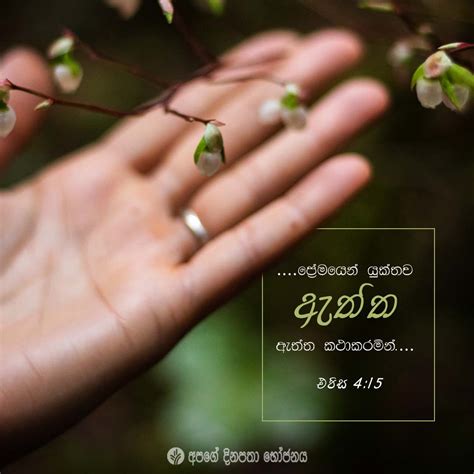 Share Odb Sinhala Our Daily Bread