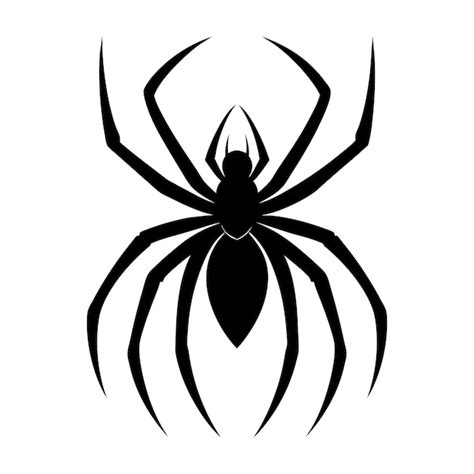 Premium Vector Spider Silhouette Vector Art Illustration