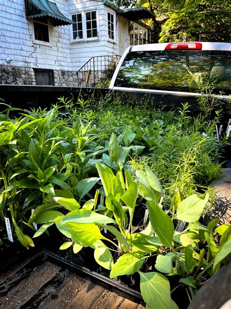 Annual Garden Events — Knoxville Botanical Garden and Arboretum