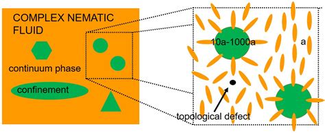 Crystals Free Full Text Introduction To Colloidal And Microfluidic