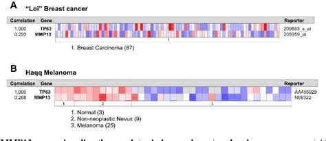 Figure 1 From P63 Transcriptionally Regulates The Expression Of Matrix