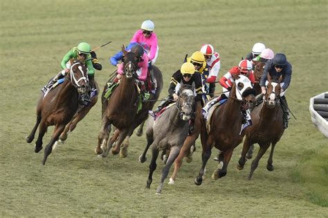 Horse Racing picks for Parx race track on Tuesday, May 31: Full Send is set to deliver