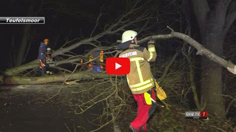 B Ume In Gef Hrlicher Schieflage Verbindungsstrasse Und Rettungswege