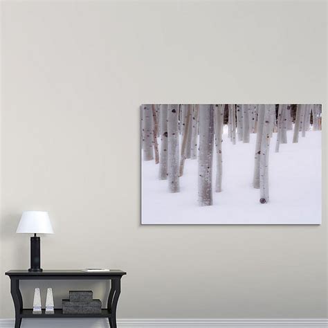 Snowy Aspens, Winter Aspen Trees, Forest Snow, Winter, Colorado Winter Art, Snowy Trees, Winter ...