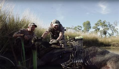 Cam Hanes And Adam Greentree Hunt For Cranky Water Buffalo In Under