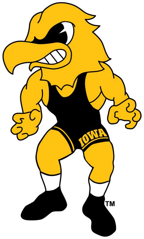 Iowa Hawkeyes Logo - Mascot Logo - NCAA Division I i-m (NCAA i-m ...