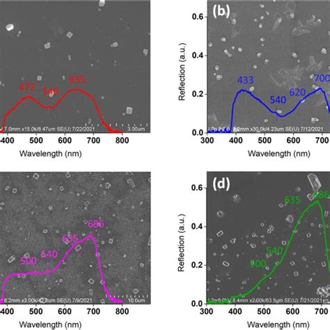 Sem Images Of Bimetallic Nanostructures Synthesized By Deposition Of