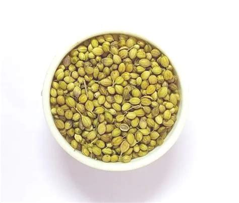 Marwar Organic Coriander Seeds Whole Sabut Dhania Whole Dhania Seeds